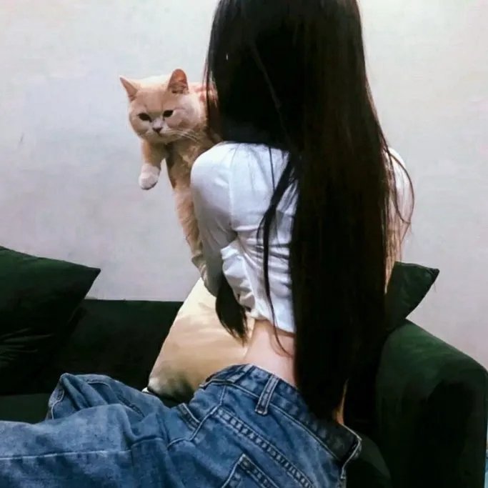 梅花红桃